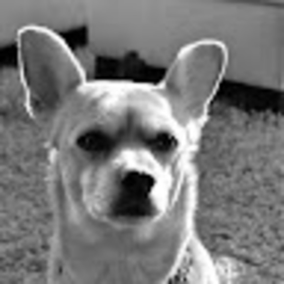 Meet your Posher, R. - Picture 1 of 1